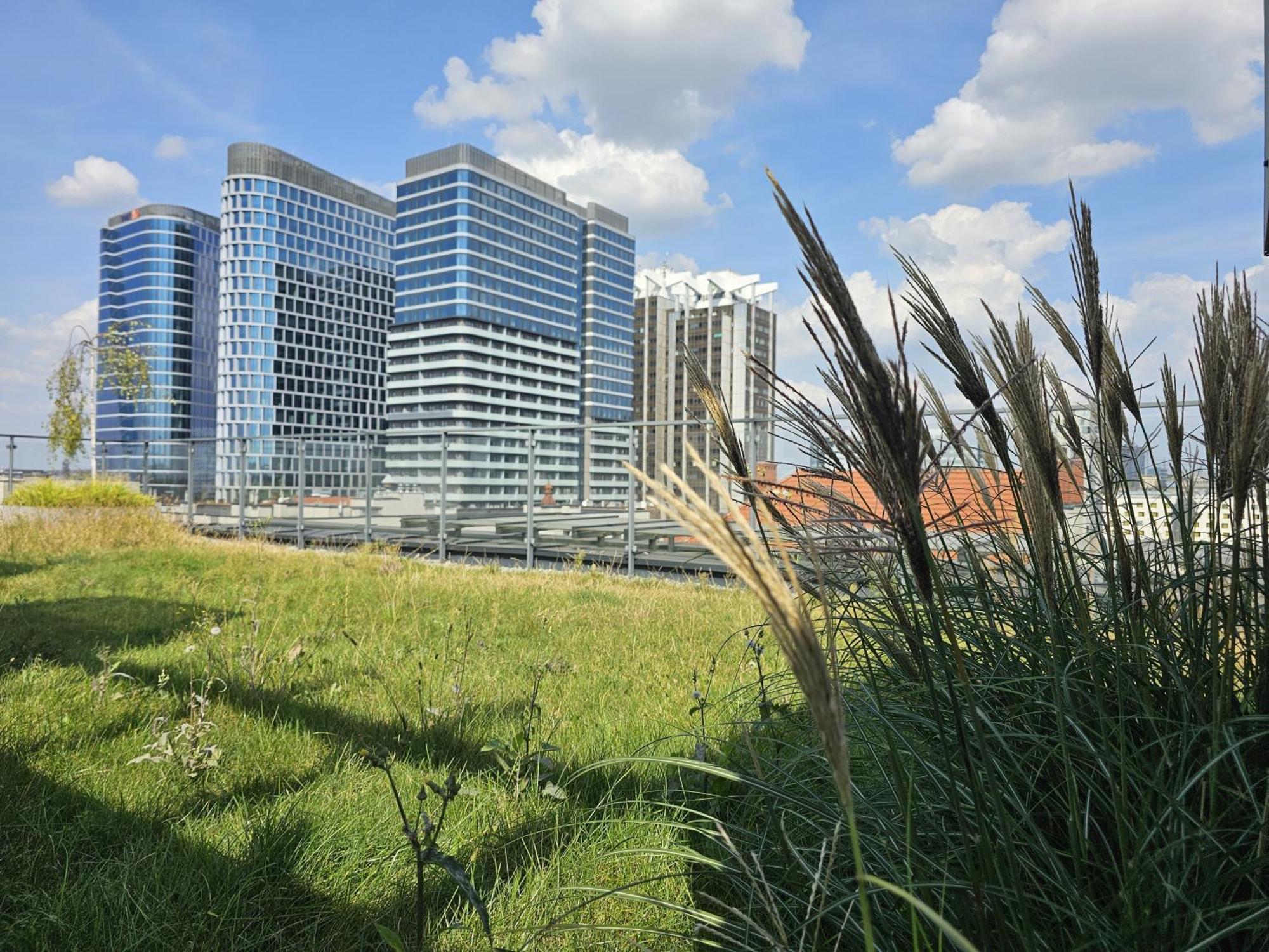 Urban Apartments Premium, Opolska 10 No 67B, Free Garage, Self Check-In Katowice Zewnętrze zdjęcie